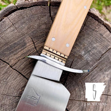 Load image into Gallery viewer, Washington Bowie