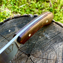 Load image into Gallery viewer, English Walnut Hunter
